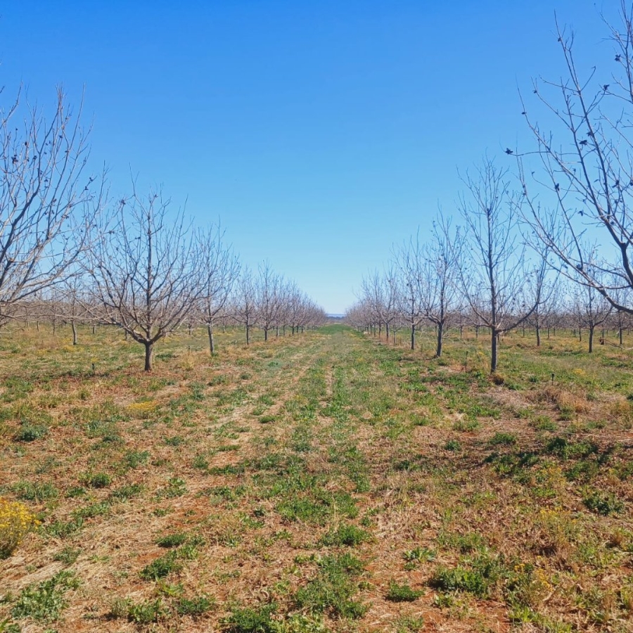  Bedroom Property for Sale in Hartswater Rural Northern Cape